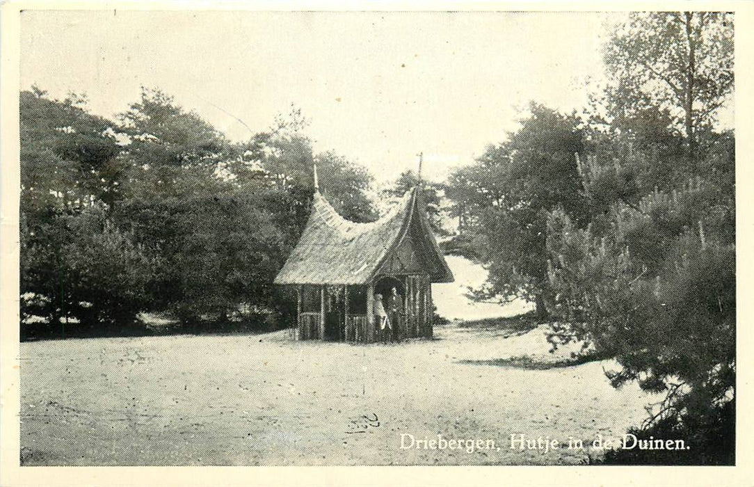 Driebergen-Rijsenburg Hutje in de Duinen