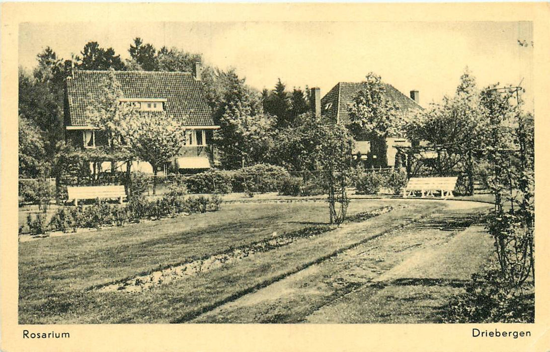 Driebergen-Rijsenburg Rosarium