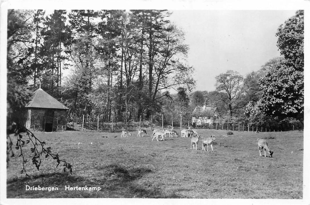 Driebergen-Rijsenburg Hertenkamp