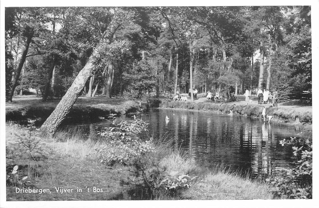 Driebergen-Rijsenburg Vijver in t Bos