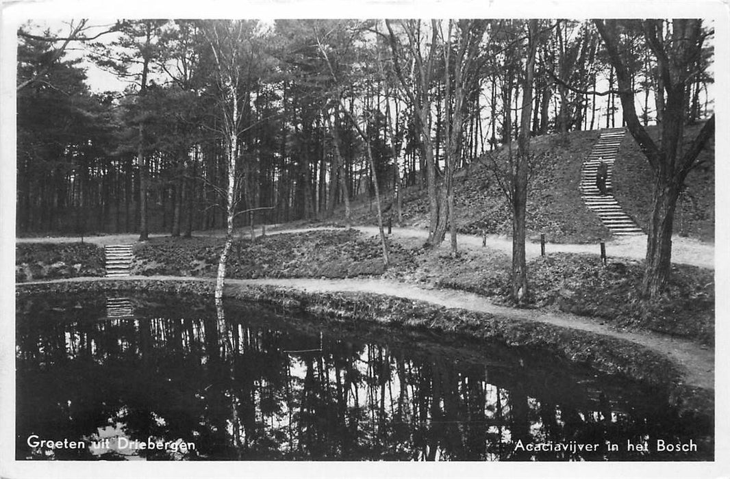 Driebergen-Rijsenburg Acaciavijver in het Bosch