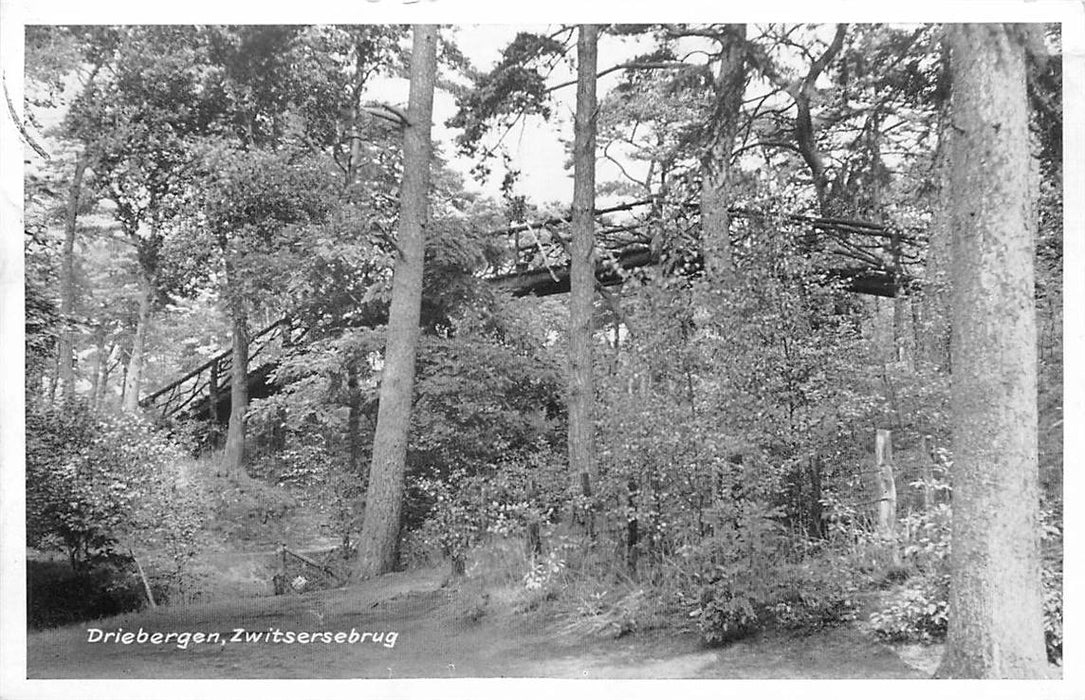 Driebergen-Rijsenburg Zwitsersebrug