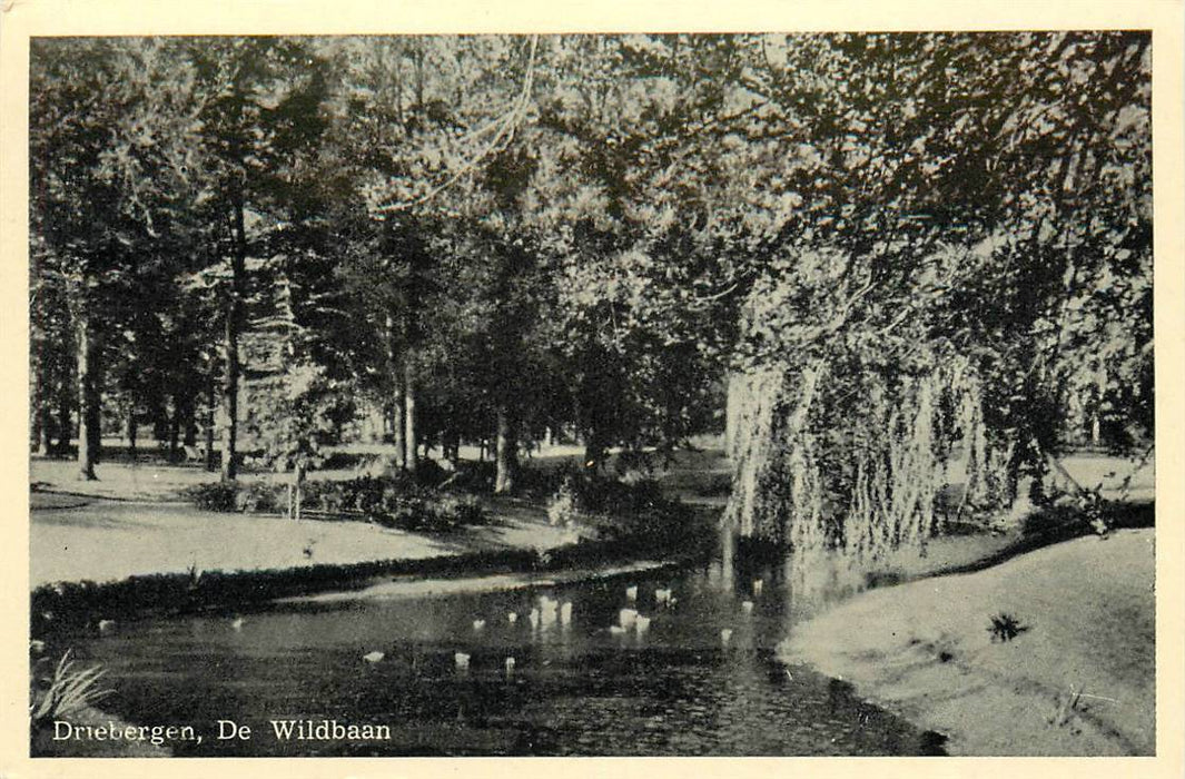 Driebergen-Rijsenburg de Wildbaan