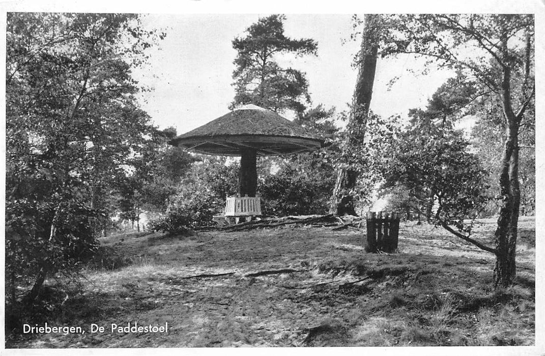 Driebergen-Rijsenburg De Paddenstoel