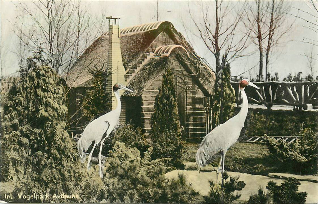 Alphen aan den Rijn Avifauna