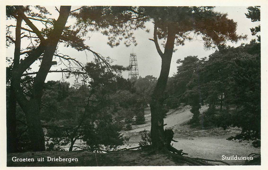 Driebergen-Rijsenburg Stuifduinen