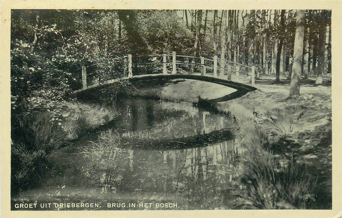 Driebergen-Rijsenburg Brug in het Bosch