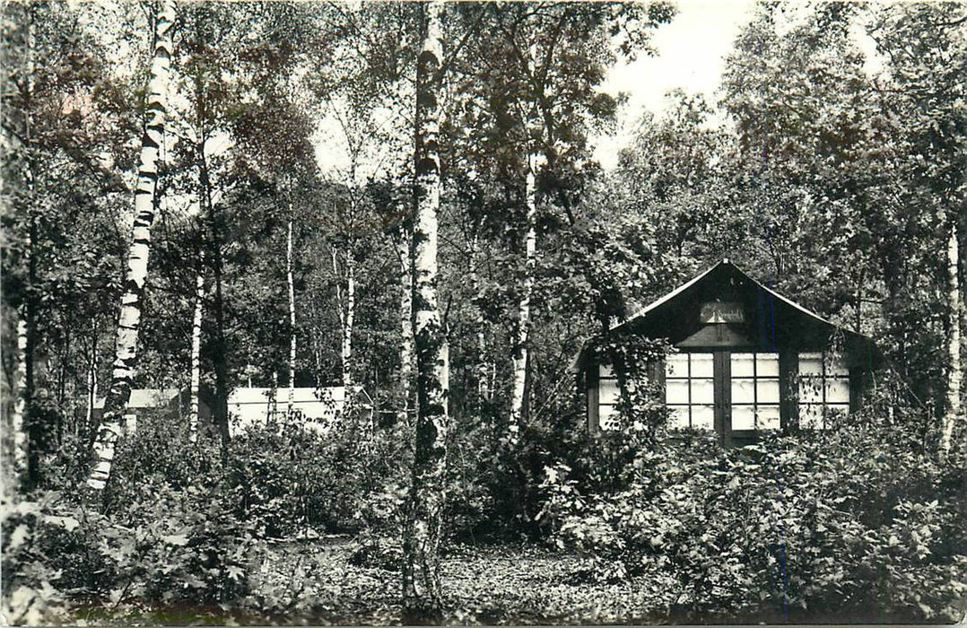 Doorn Het Grote Bos