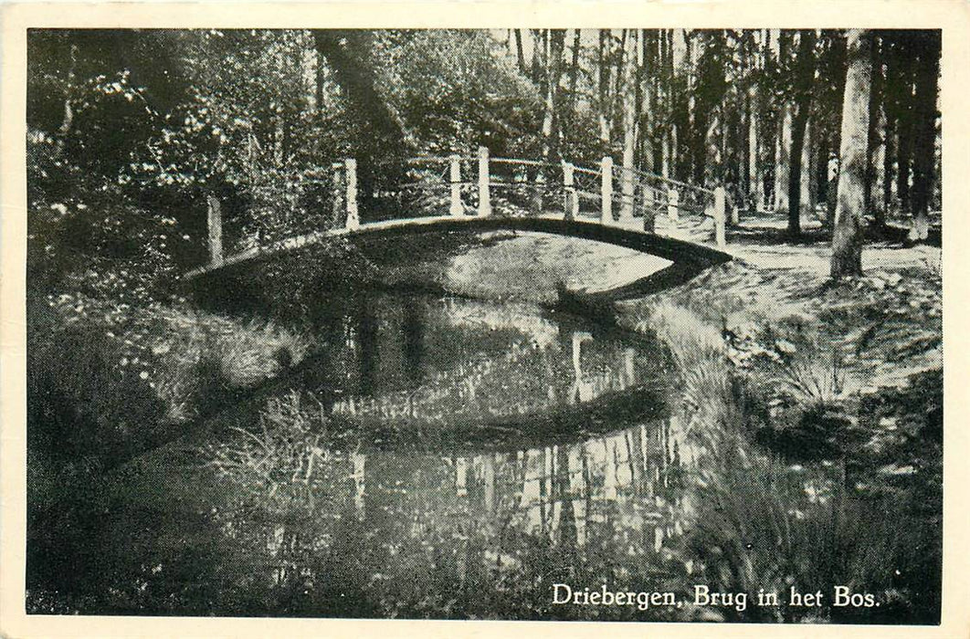 Driebergen-Rijsenburg Brug in het Bos