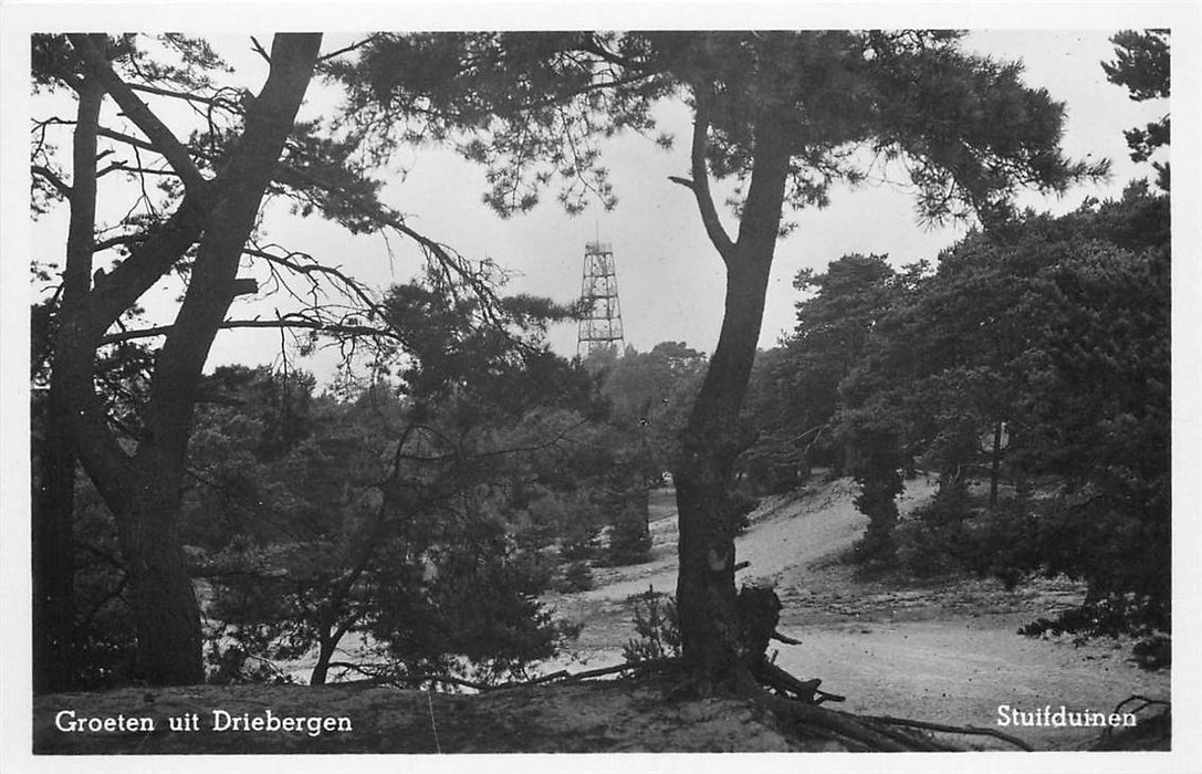 Driebergen-Rijsenburg Stuifduinen