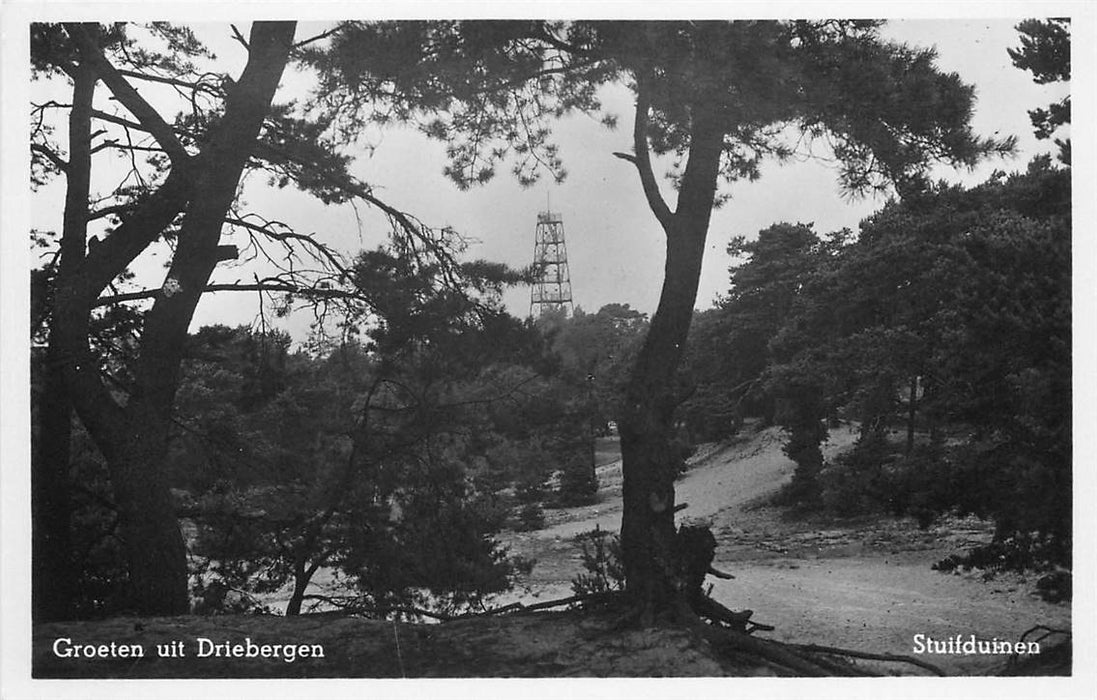 Driebergen-Rijsenburg Stuifduinen