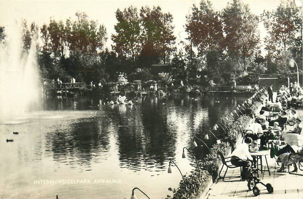 Alphen aan den Rijn Avifauna