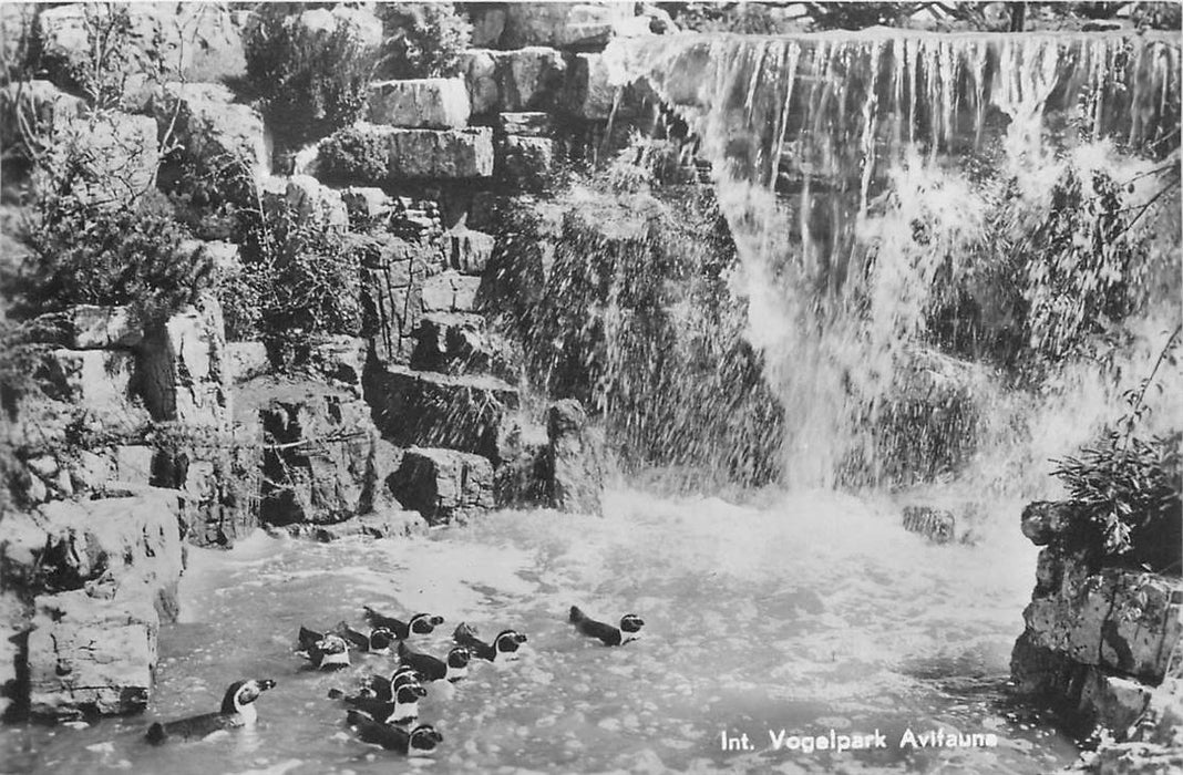 Alphen aan den Rijn Avifauna