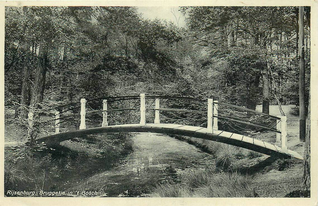 Driebergen-Rijsenburg Bruggetje in t Bosch