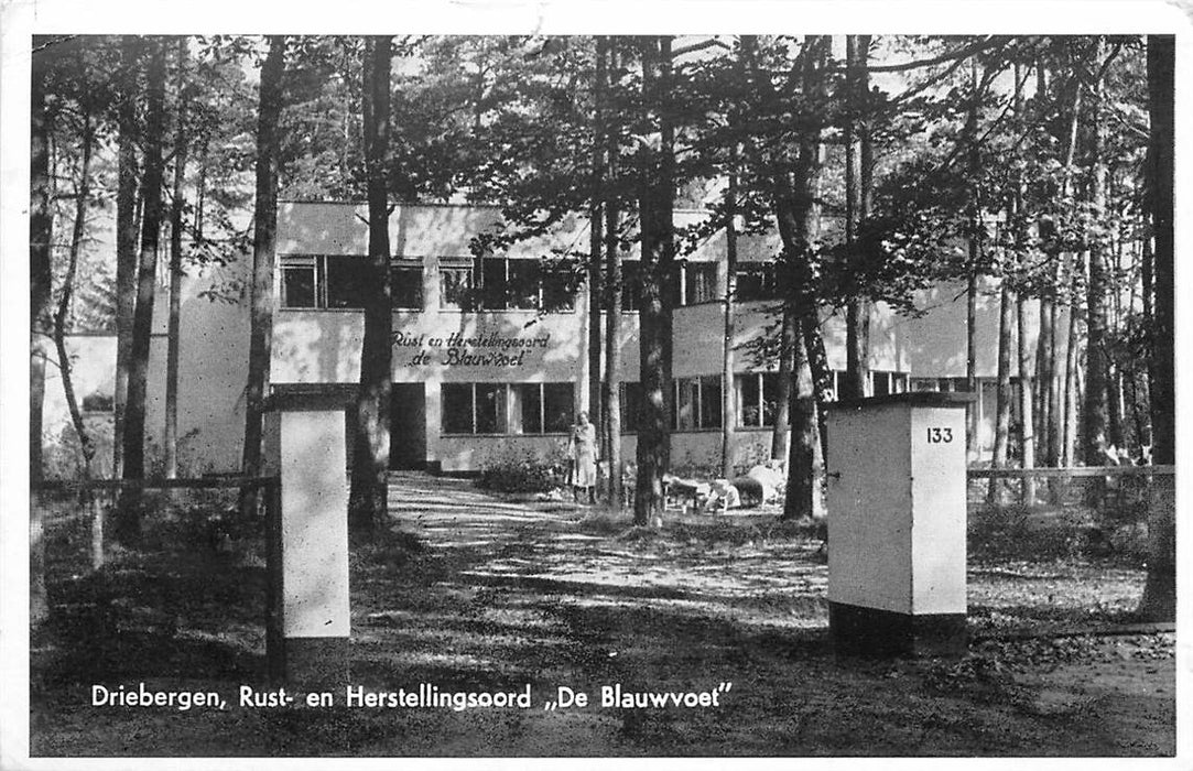 Driebergen-Rijsenburg De Blauwvoet