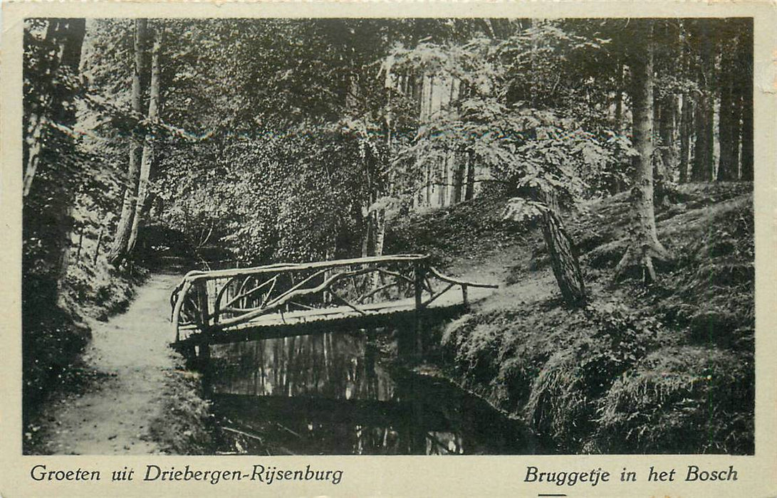 Driebergen-Rijsenburg Bruggetje in het Bosch