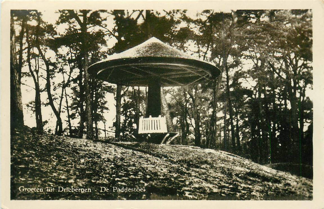 Driebergen-Rijsenburg De Paddenstoel