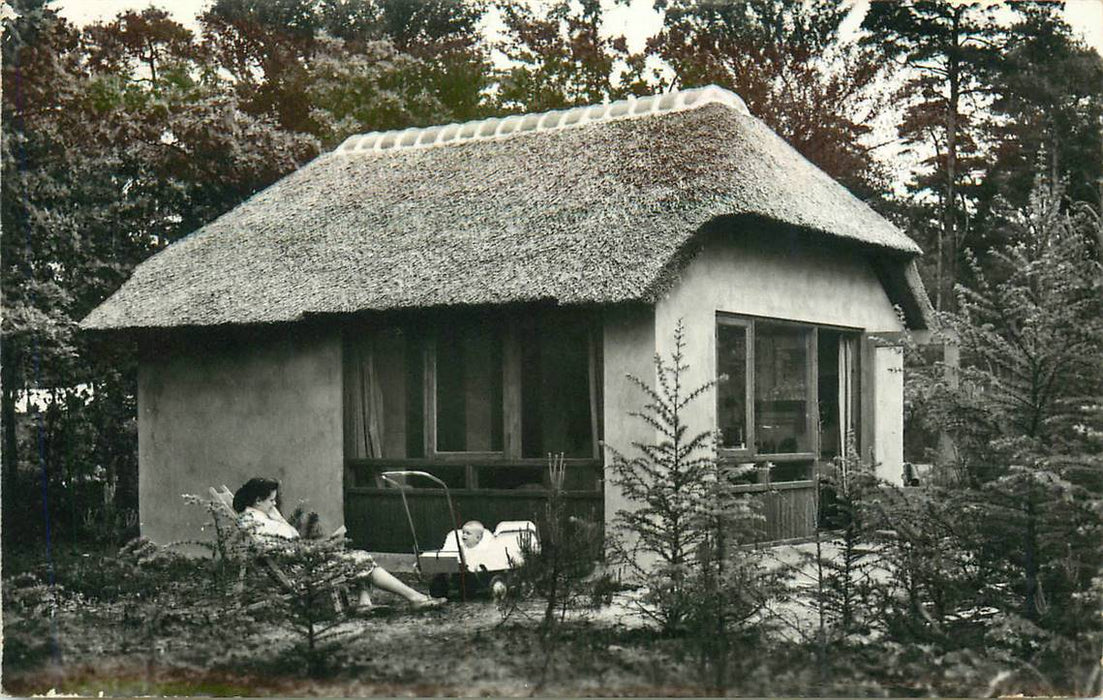 Doorn Het Grote Bos