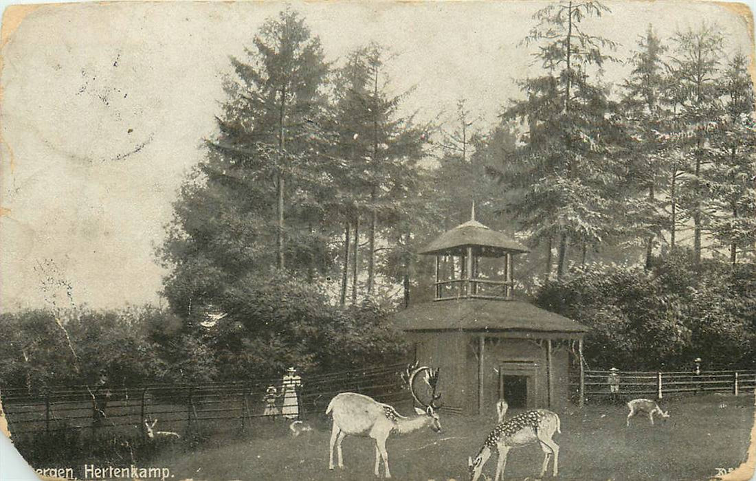 Driebergen-Rijsenburg Hertenkamp