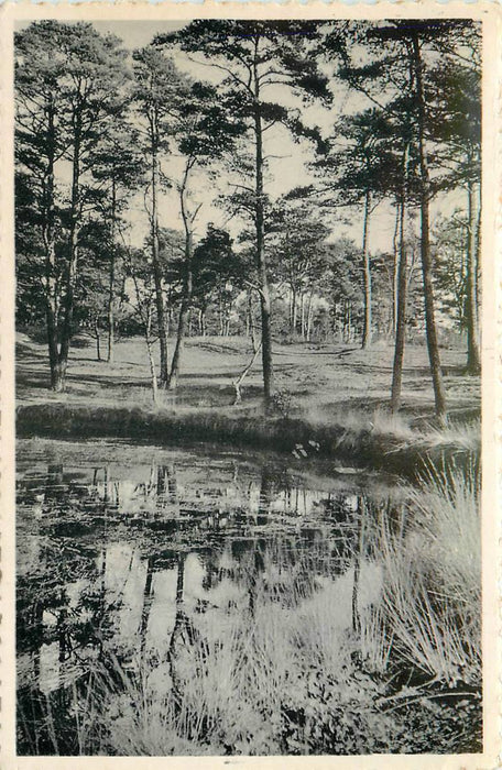 Driebergen-Rijsenburg De Koekepan