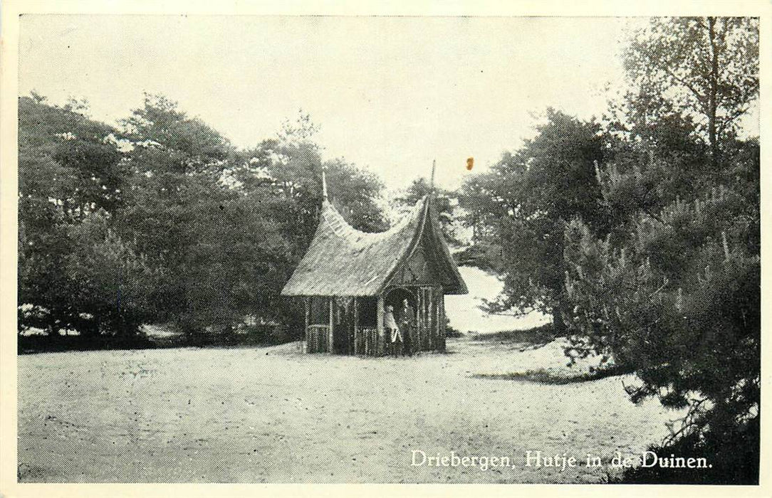 Driebergen-Rijsenburg Hutje in de Duinen