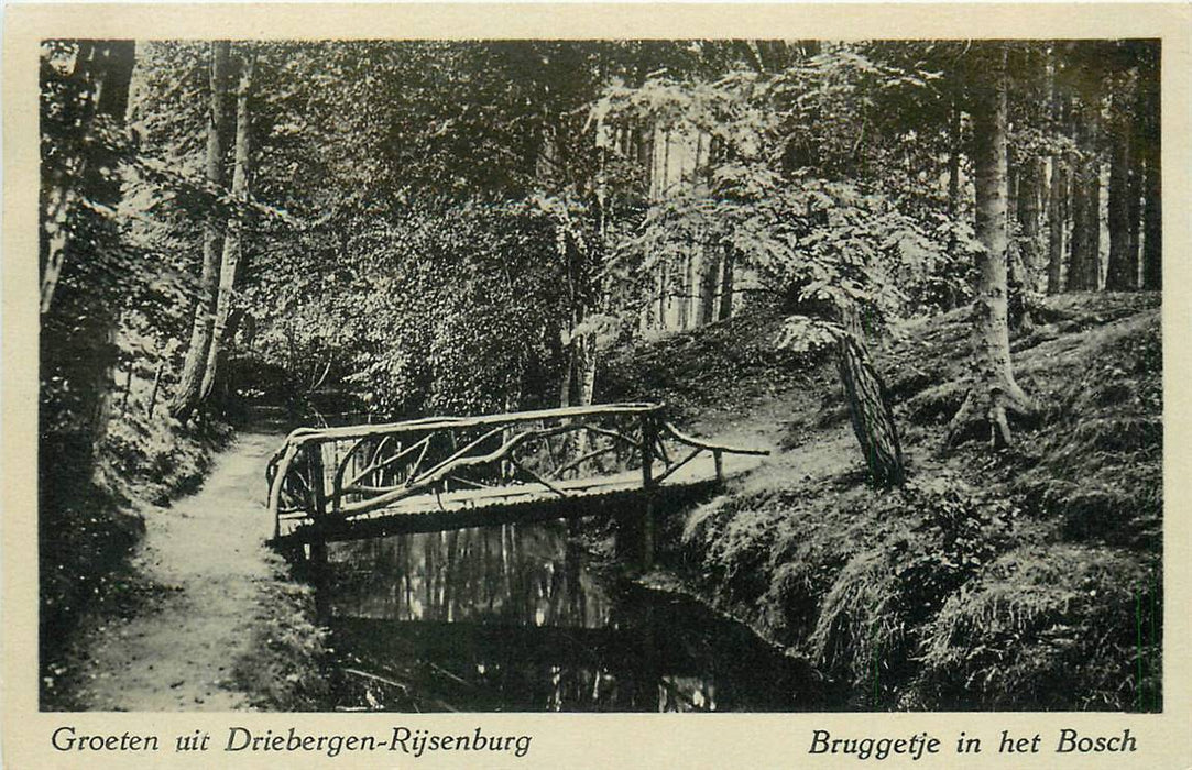 Driebergen-Rijsenburg Bruggetje in het Bosch