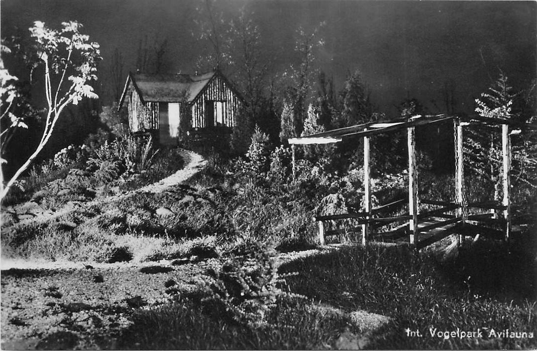 Alphen aan den Rijn Avifauna