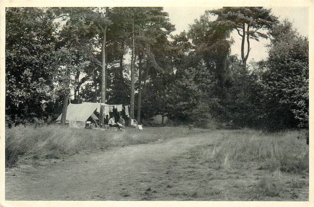 Doorn Bonte Vlucht