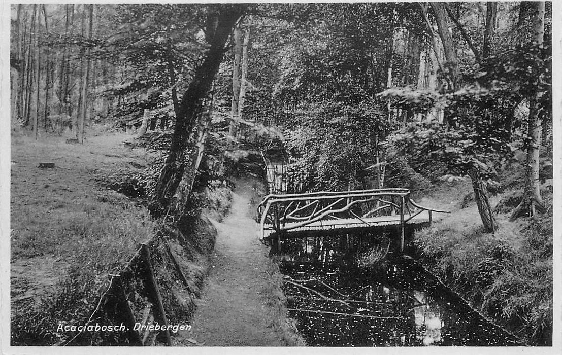 Driebergen-Rijsenburg Acaciabosch