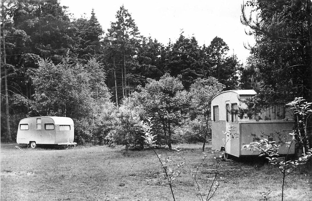 Doorn Het Grote Bos