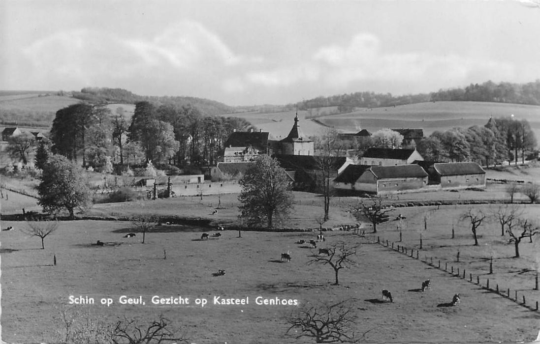 Schin op Geul Gezicht op Kasteel Genhoes