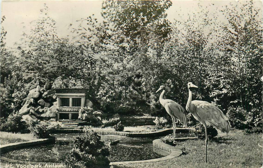 Alphen aan den Rijn Avifauna