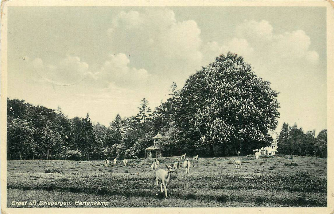 Driebergen-Rijsenburg Hertenkamp