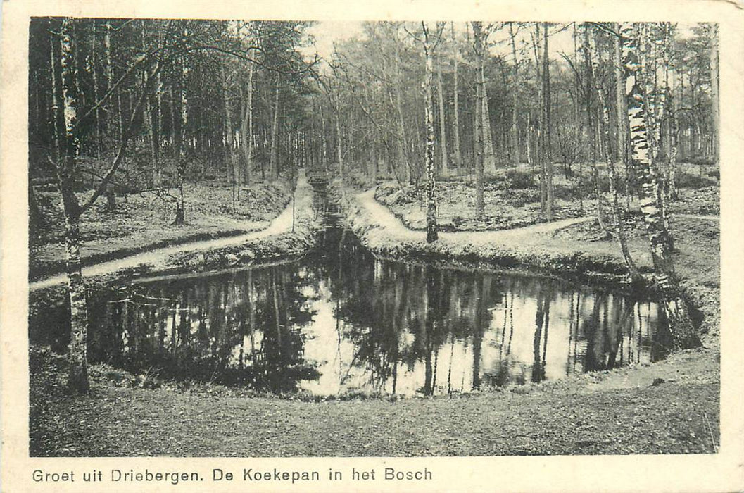 Driebergen-Rijsenburg de Koekepan