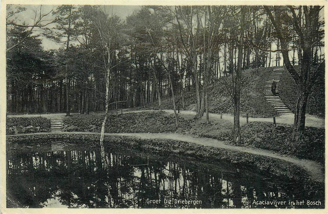 Driebergen-Rijsenburg Acaciavijver in het Bosch