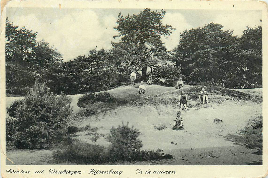 Driebergen-Rijsenburg In de duinen