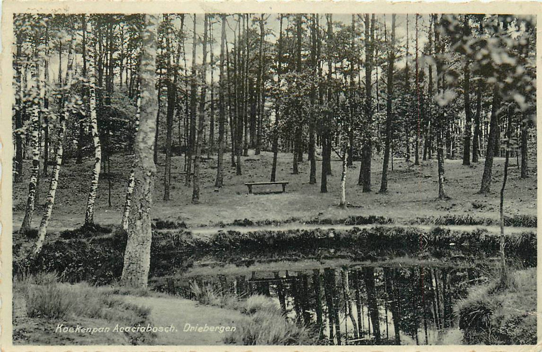 Driebergen-Rijsenburg Koekepan