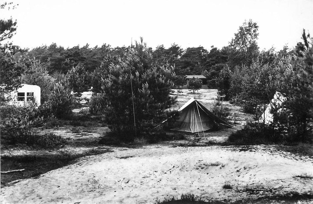 Doorn Het Grote Bos