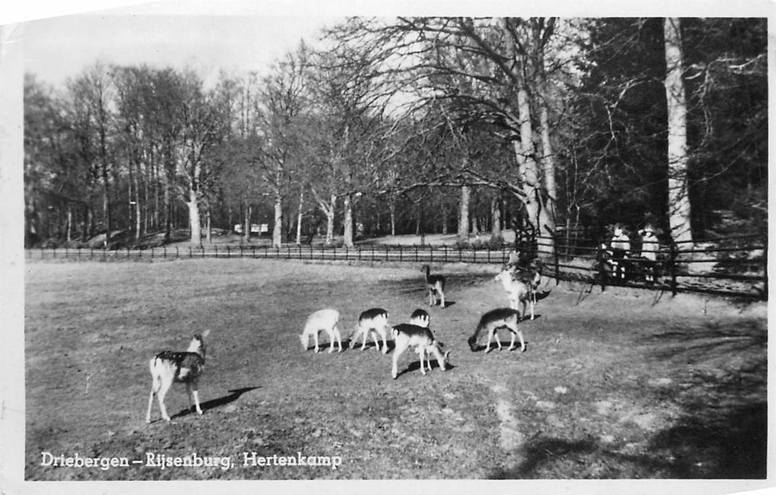 Driebergen-Rijsenburg Hertenkamp