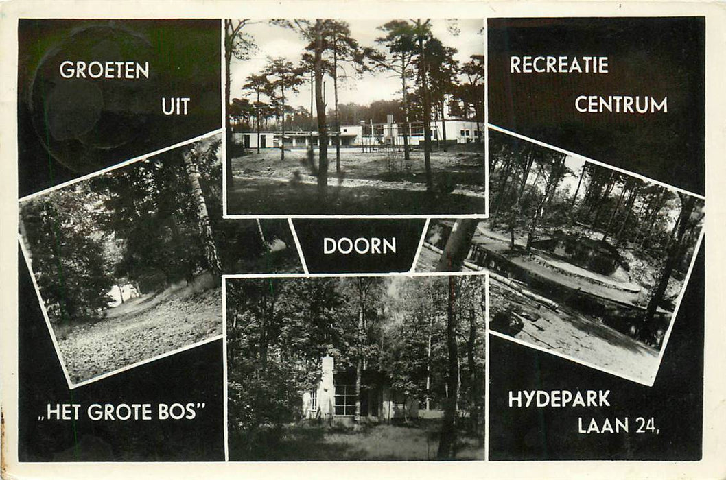 Doorn Het Grote Bos