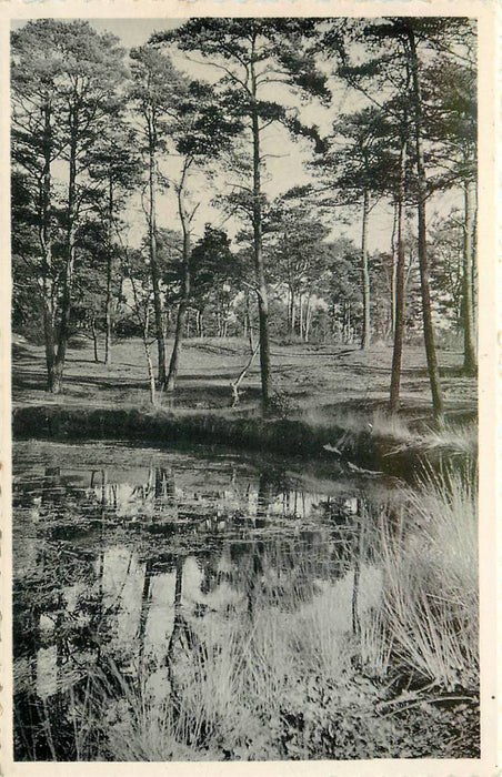 Driebergen-Rijsenburg de Koekepan