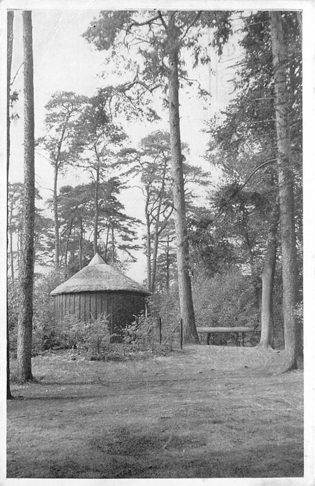 Driebergen-Rijsenburg Rijsenburgsebos