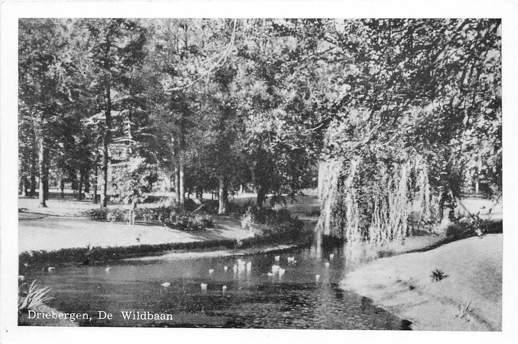 Driebergen-Rijsenburg de Wildbaan