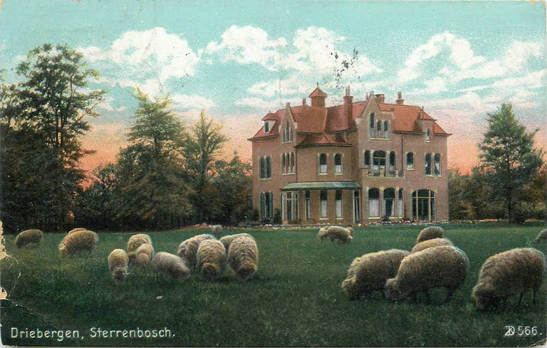 Driebergen-Rijsenburg Sterrenbosch