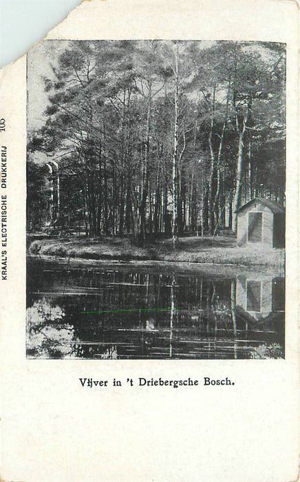 Driebergen-Rijsenburg Vijver