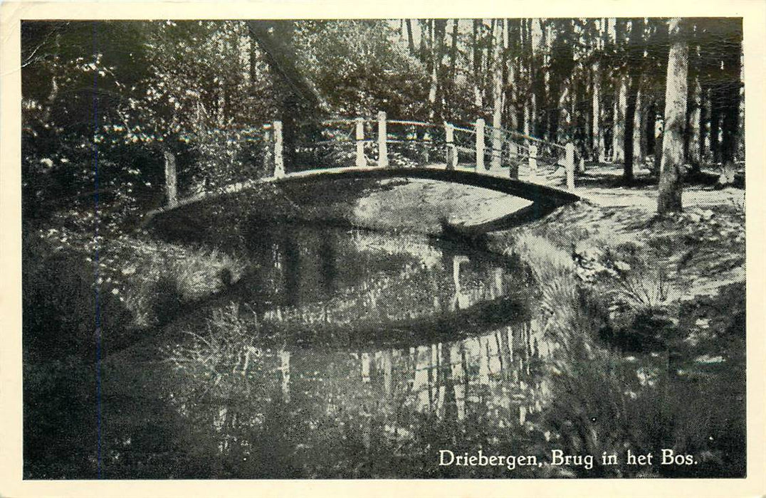 Driebergen-Rijsenburg Brug in het Bos