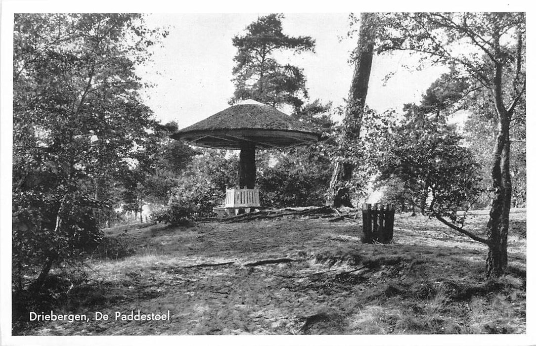 Driebergen-Rijsenburg De Paddenstoel