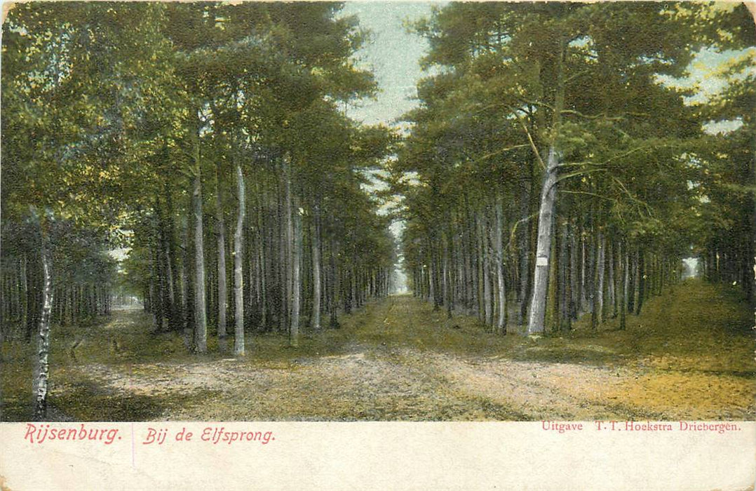 Driebergen-Rijsenburg Bij de Elfsprong