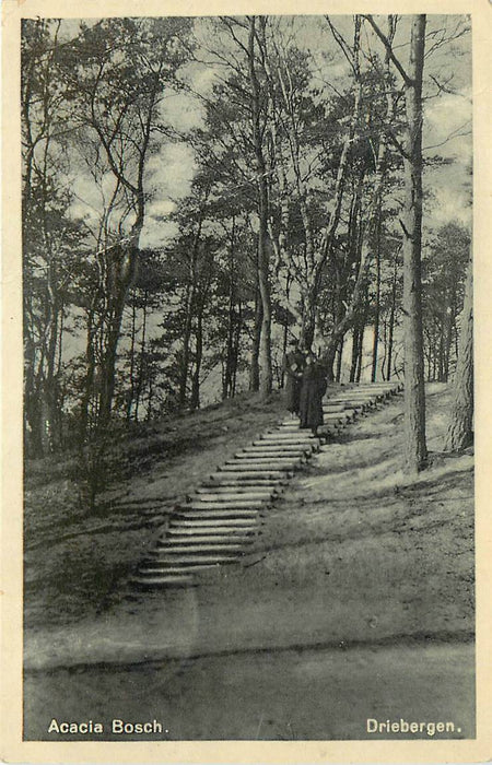 Driebergen-Rijsenburg Acaciabosch