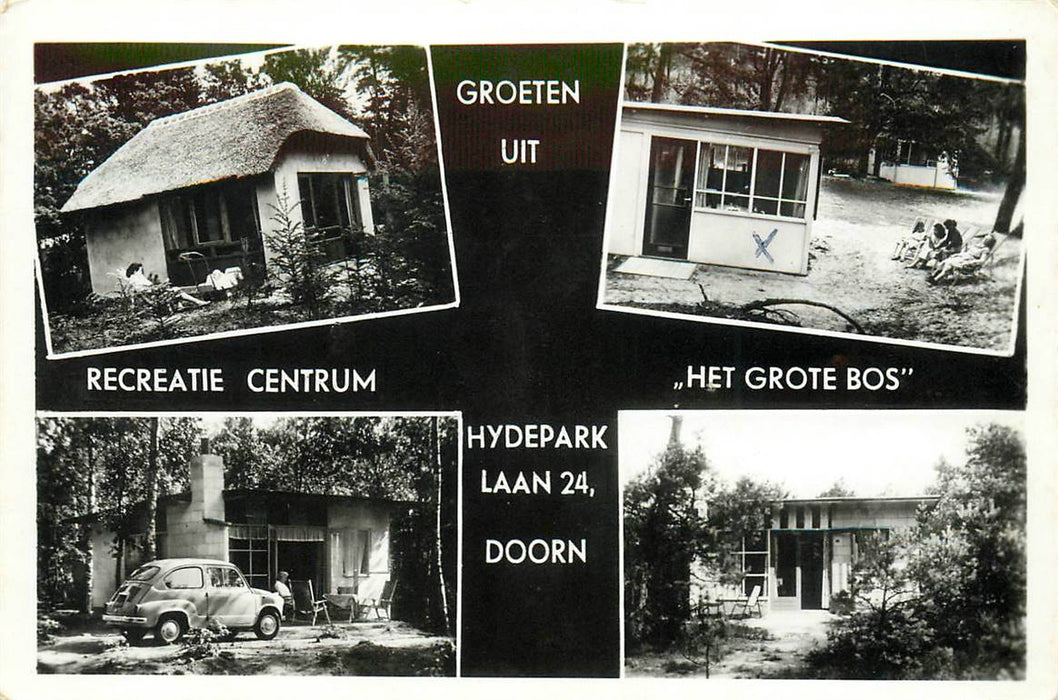 Doorn Het Grote Bos